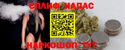 a pvp Можга