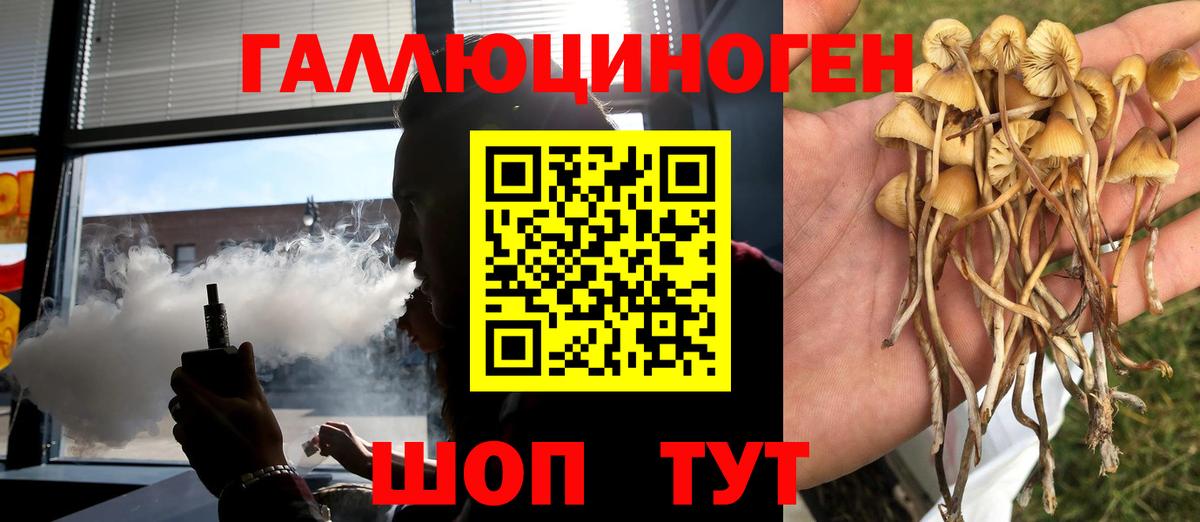 Галлюциногенные грибы мухоморы  Вход с VPN  Дзержинский  купить закладку  Псилоцибиновые грибы Psilocybine cubensis 